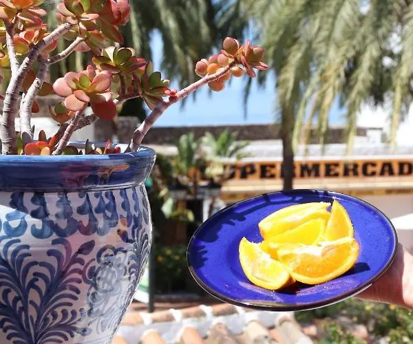 Casa P.jazmin - - Spain