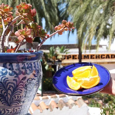 Casa P.jazmin - - Spain