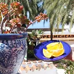 Casa P.jazmin - - Spain